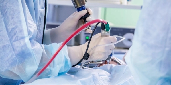 ДВФУ будет обучать русскому языку абитуриентов-медиков в Китае