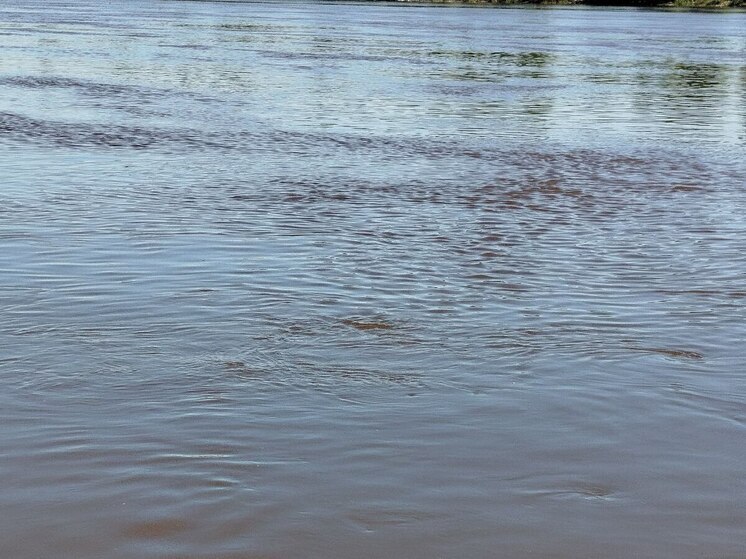 Ученый Сапожников рассказал о риске затопления Петербурга к 2300 году