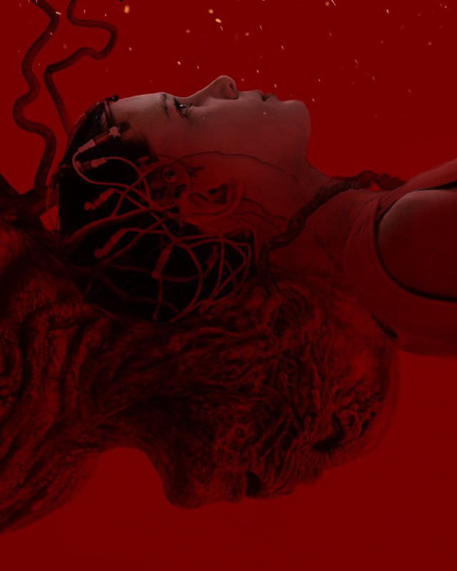 photo_2025-10-16_19-32-45 (2)