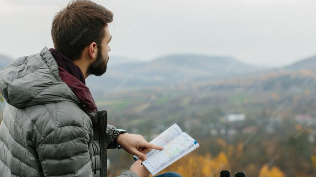 Фото: freepik.com