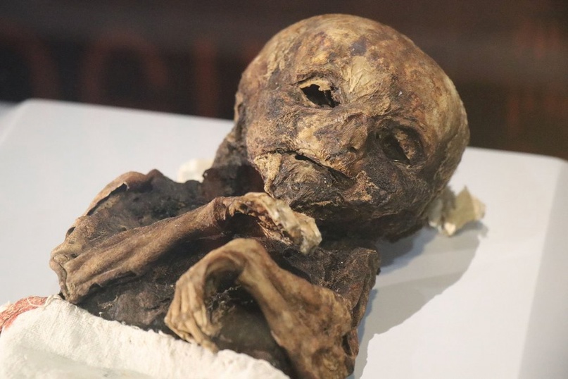 Кошки и младенцы: тысячелетние мумии в турецком Аксарае, изображение №2