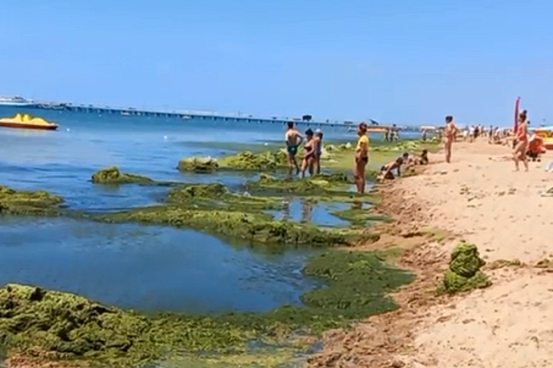 Карта цветения моря в анапе