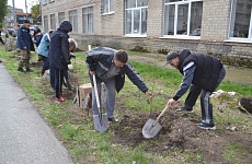 В Георгиевске высадили молодые клёны и липы