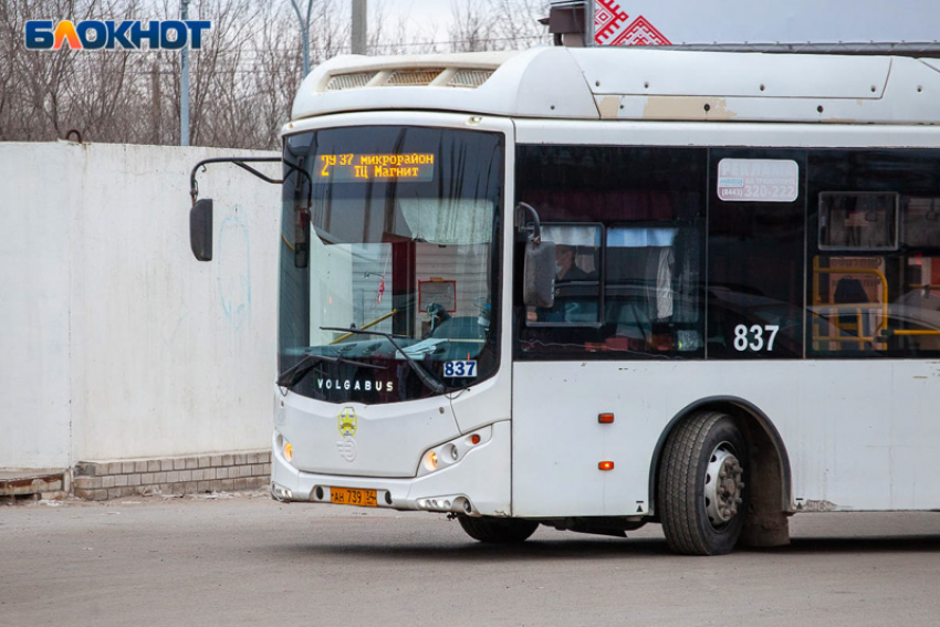 Ночные автобусы пустят в Волжском 19 ноября