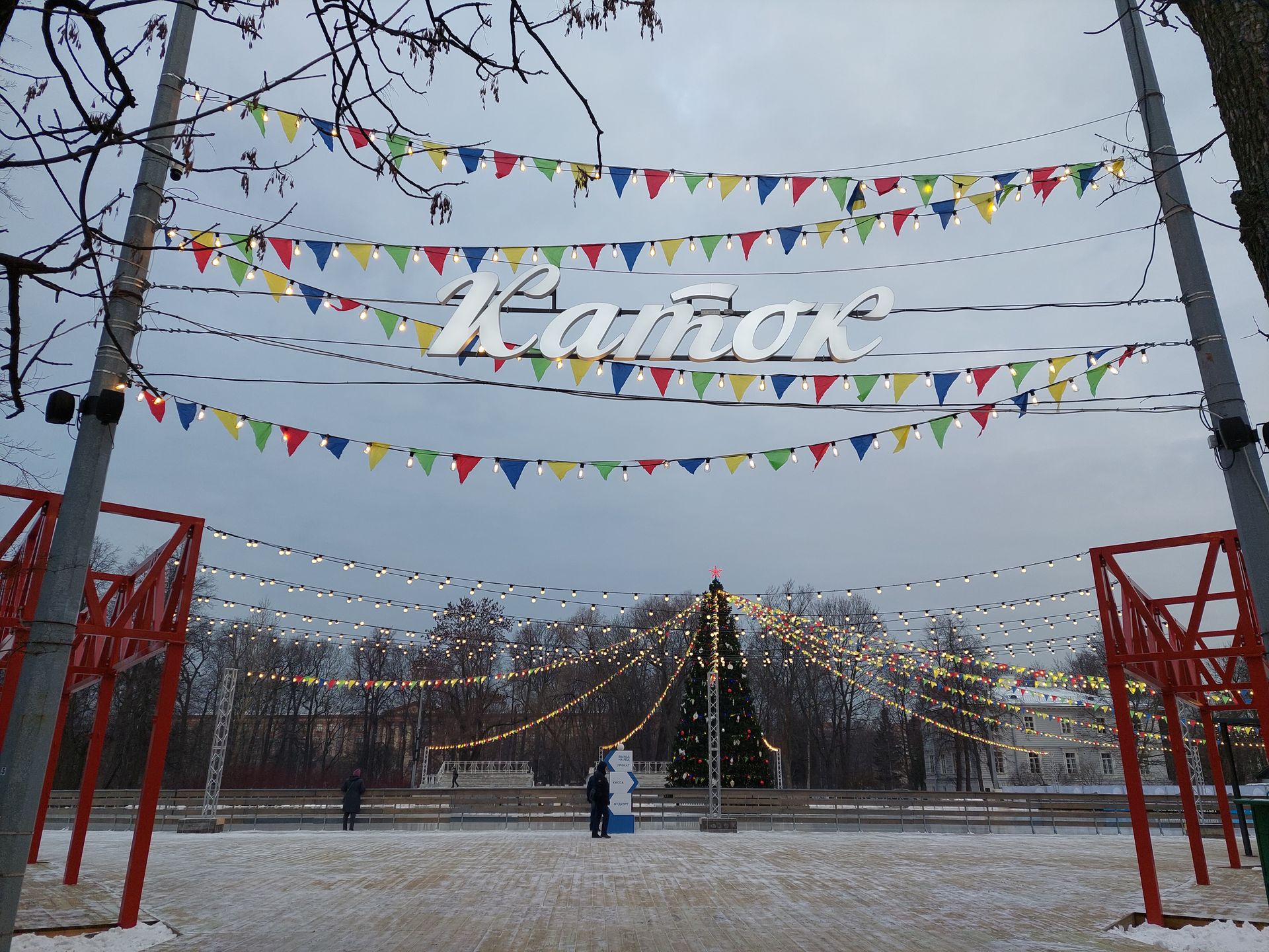 елагин остров зимой в санкт петербурге