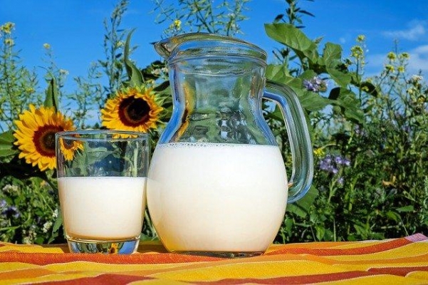 Удмуртия занимает третье место по объемам производства молока среди регионов РФ