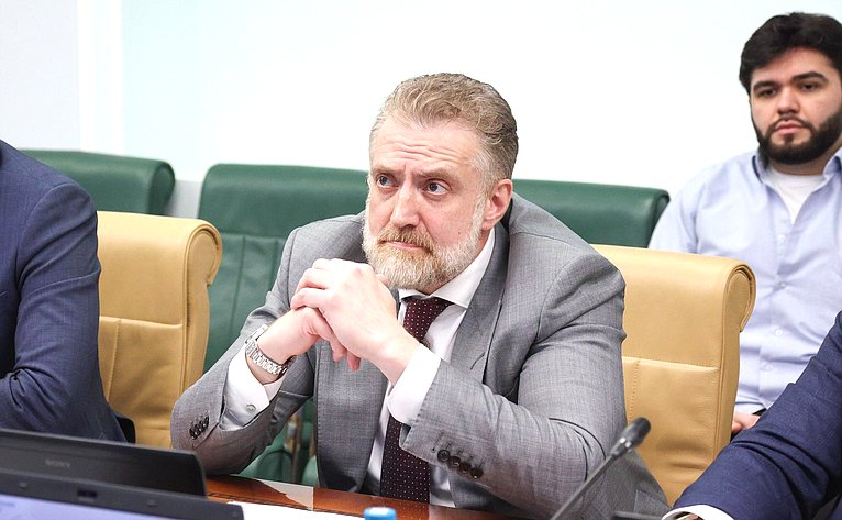 Круглый стол Комитета Совета Федерации по экономической политике «Совершенствование механизмов управления стратегическим развитием электроэнергетики Российской Федерации»