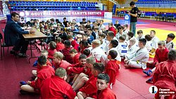 В Челябинске провели Фестиваль борьбы по трем единоборствам