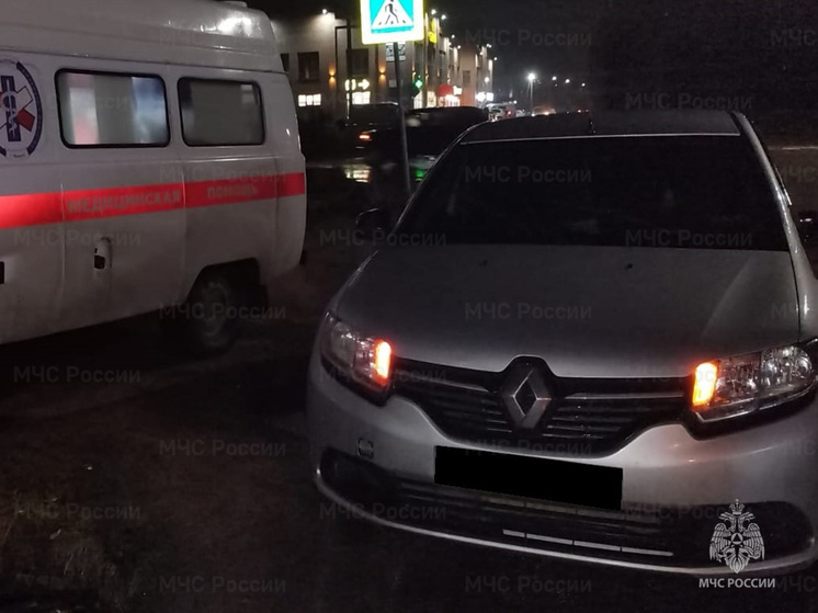 В Людинове сбили пешехода