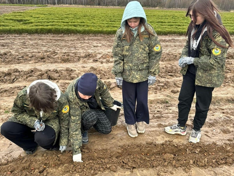 Фото: Комитет лесного хозяйства МО