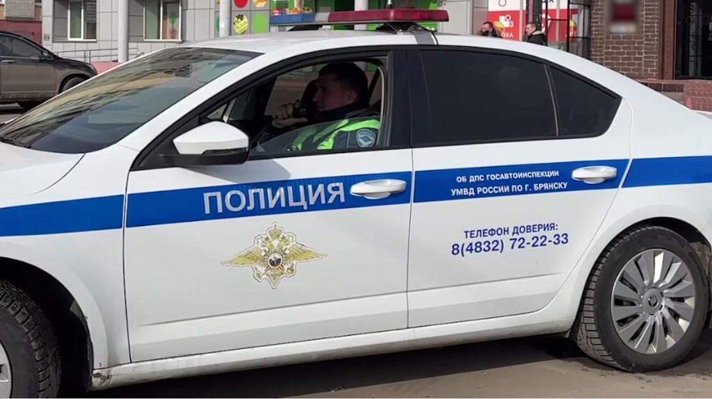 Под Карачевом выбежавший на трассу зверь стал причиной ДТП