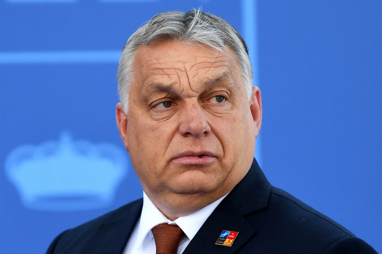 Президент венгрии