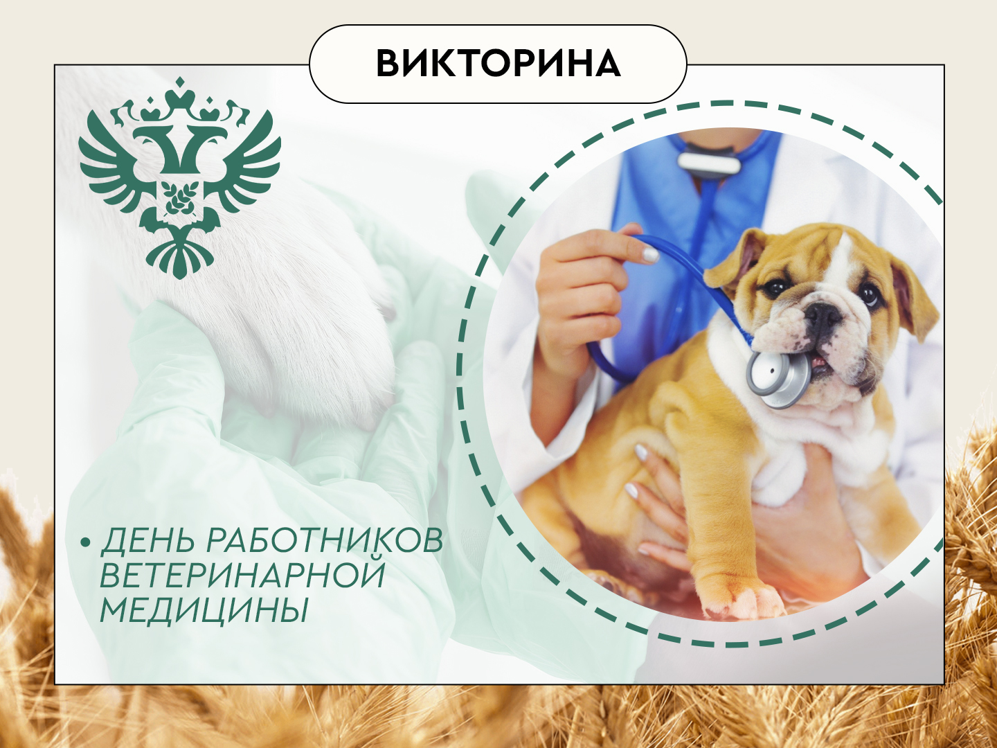 С днем ветеринара картинки