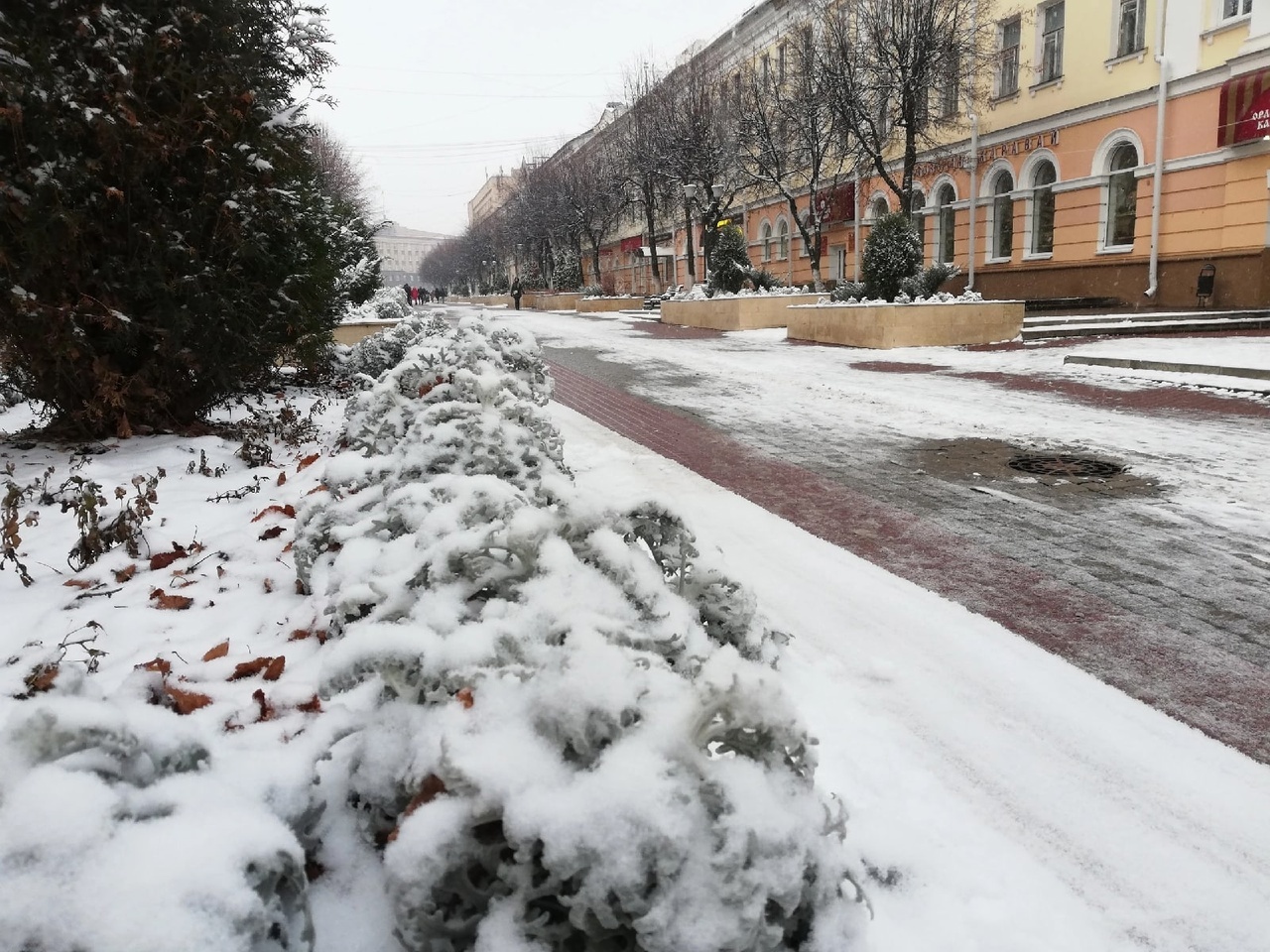 Погода в орле. Снегопад. Снег в России. Ноябрь снег. Снегопад фото.