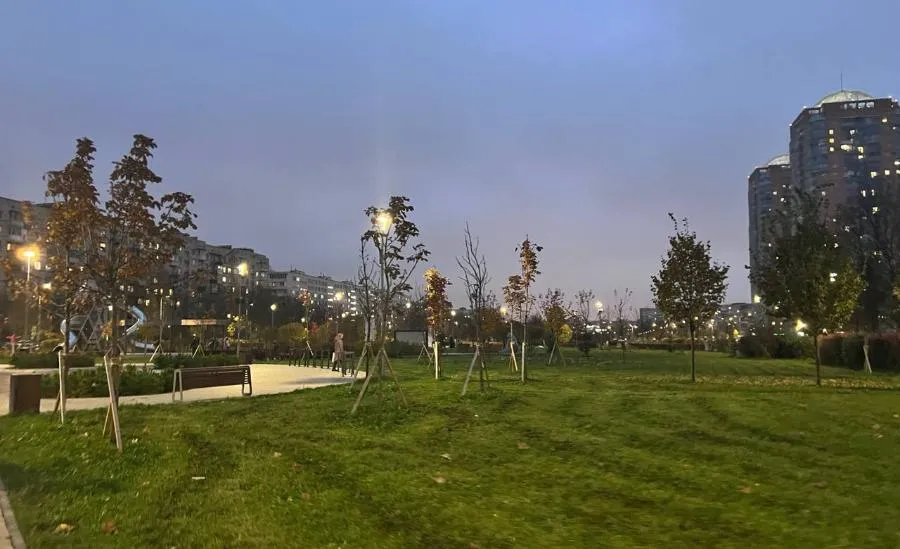 В России высадили более 250 тыс. деревьев в честь Дня народного единства | ФОТО Полины АКИМОВОЙ