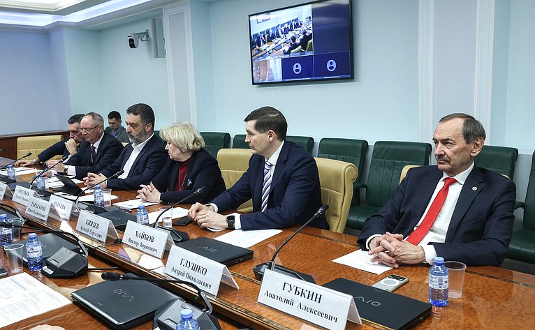 Круглый стол Комитета Совета Федерации по экономической политике «О ходе мониторинга состояния производства малотоннажной химии в Российской Федерации»