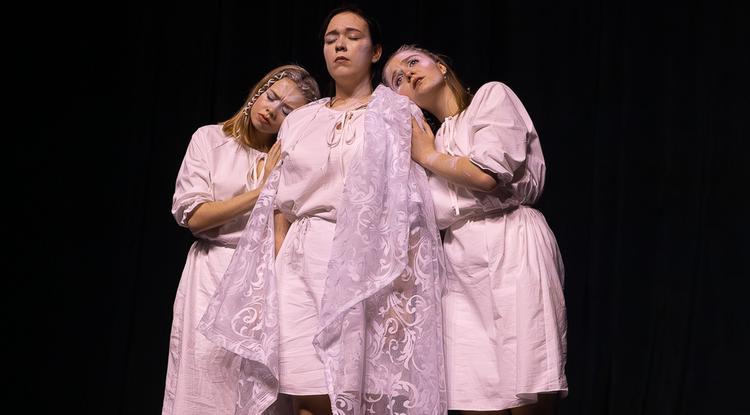 Курские участники арт-лаборатории молодых творцов показали спектакль в Белгороде