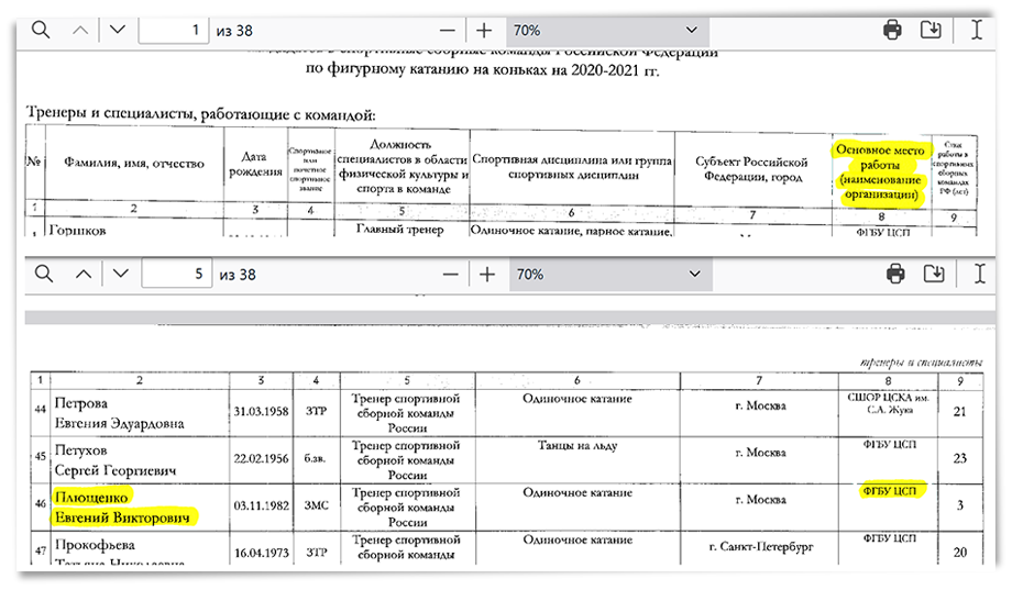 В документах Минспорта значится основное место работы Плющенко.