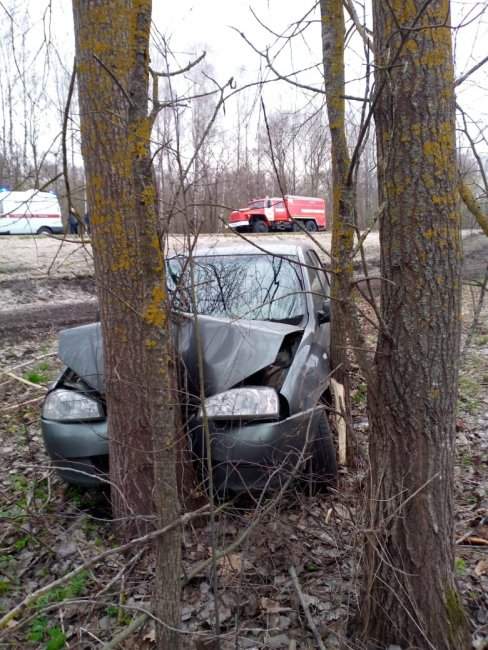 В Курской области машина улетела в кювет и протаранила дерево