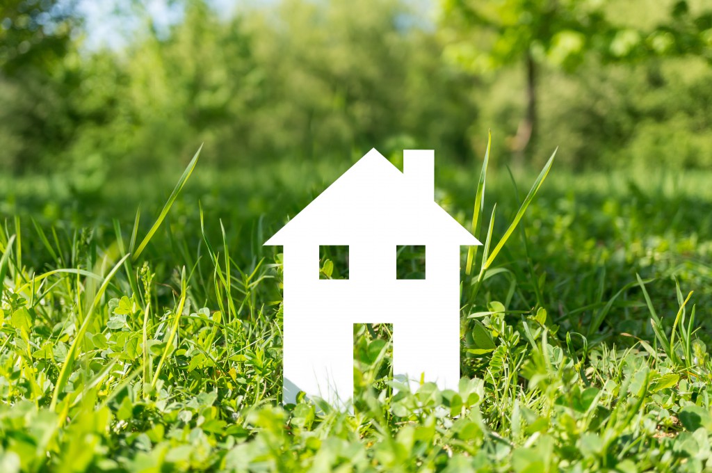 Дачная амнистия. Лесная амнистия картинки. Земельный участок. Экологическая амнистия. Дом в земле.