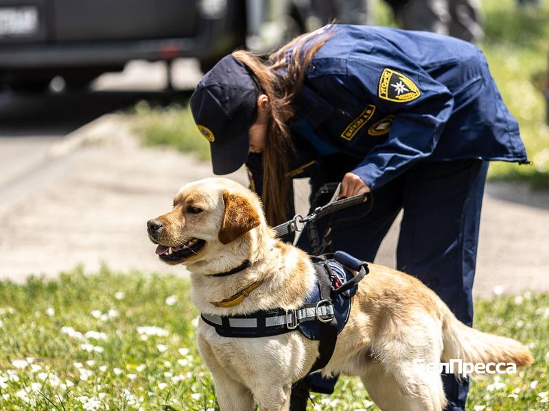 В Белгороде беспилотник ВСУ атаковал автозаправку (фоторепортаж)