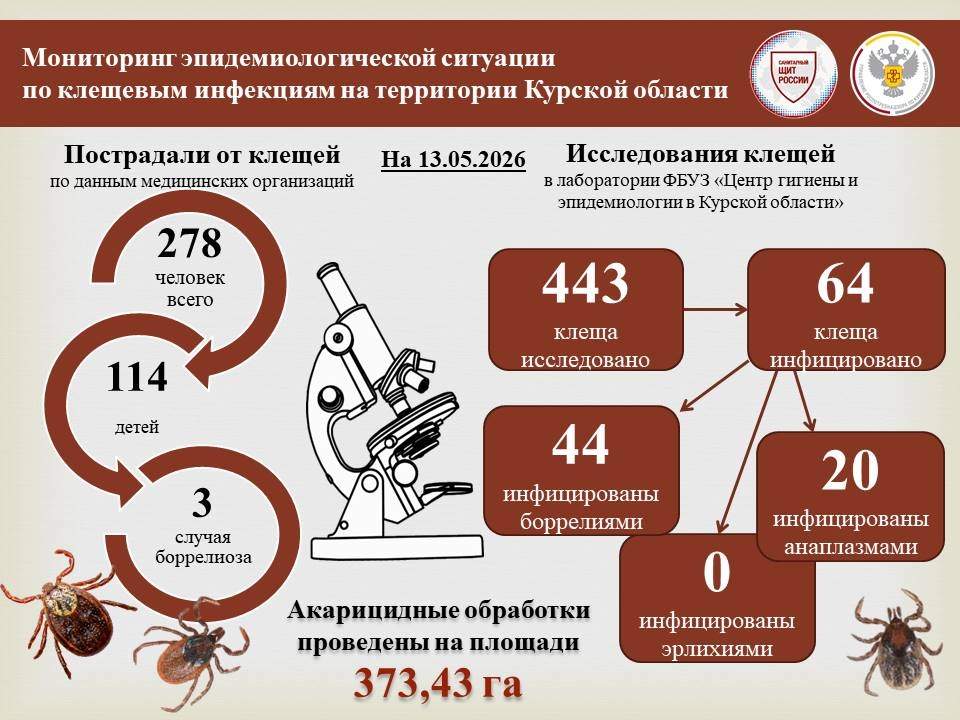 В Курской области растет количество случае боррелиоза после укусов клещей
