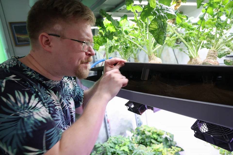 Волгоградский ботаник хочет вырастить клубнику на дне Волги