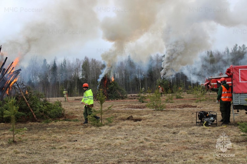 В Кирсе прошли совместные командно-штабные учения по ликвидации лесного пожара