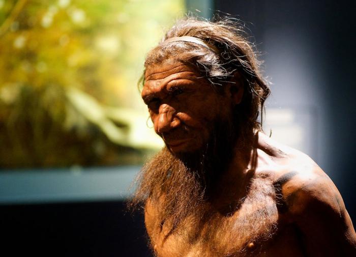 Ранние неандертальцы могли впадать в зимнюю спячку
