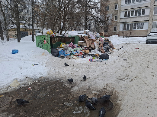 Ивановы жалуются на проблемы с вывозом мусора