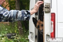 Возбуждены уголовные дела по статьям о незаконном культивировании и сбыте наркотиков