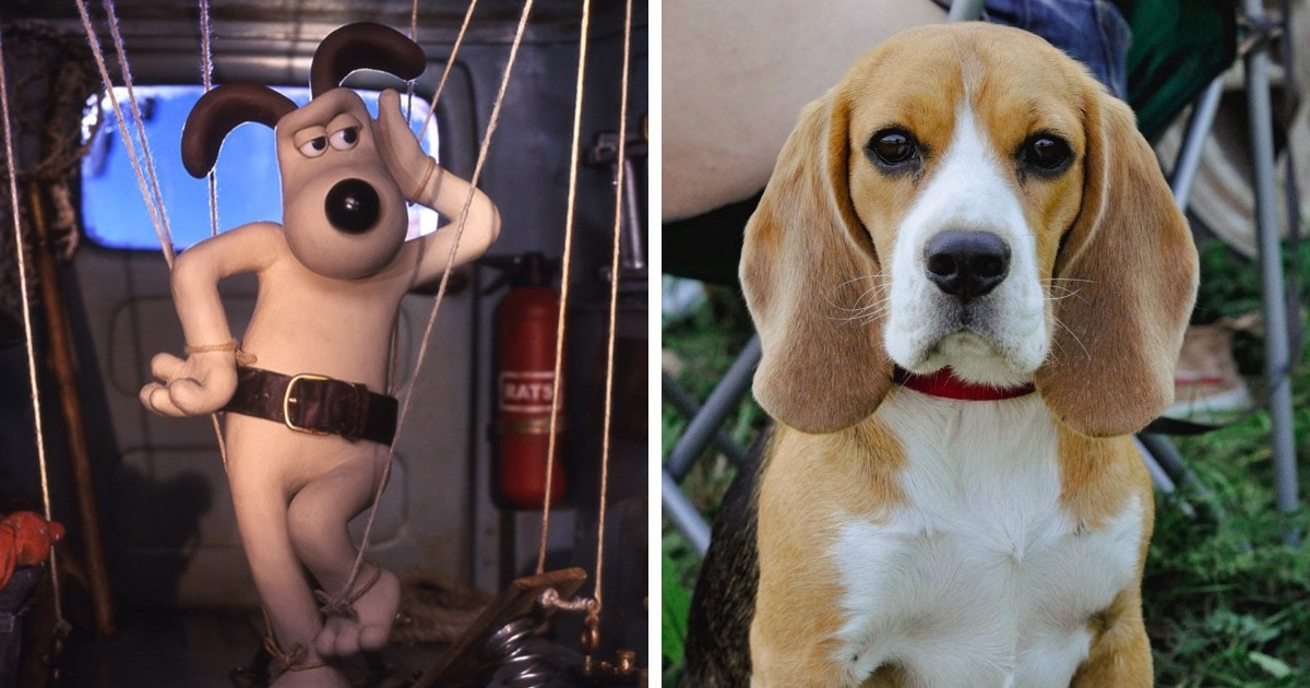 Как выглядела собака обидчица хрюкина 17 animation dogs who will surprise you when you learn their breed and will see 