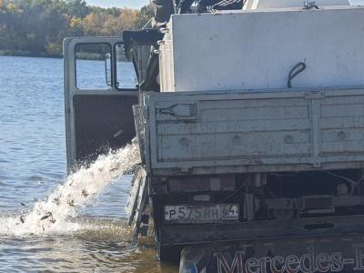 В Волгу выпустили почти 4 миллиона мальков для компенсации ущерба от строительства моста в Саратове