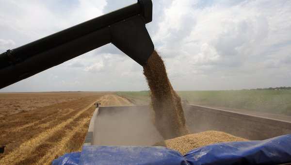 Десятки миллионов тонн: в Минсельхозе озвучили прогноз по годовому экспорту зерна | Русская весна