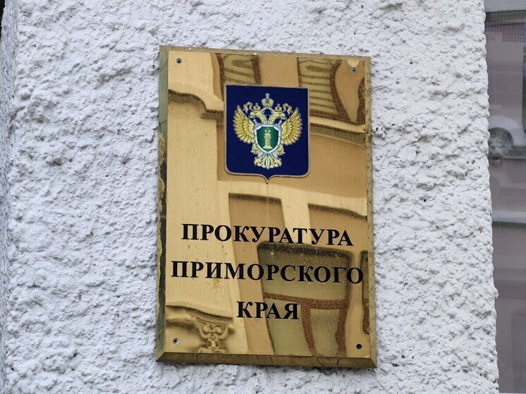 Прокуратура заинтересовалась безответственными и грубыми воспитателями детсада Владивостока