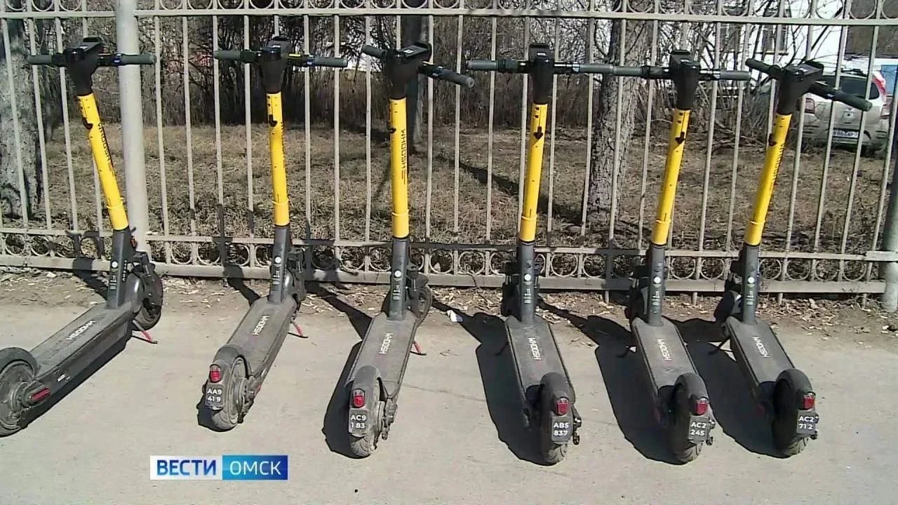 Аренда электросамокатов только через «Госуслуги»: Минтранс предложил обязательную авторизацию
