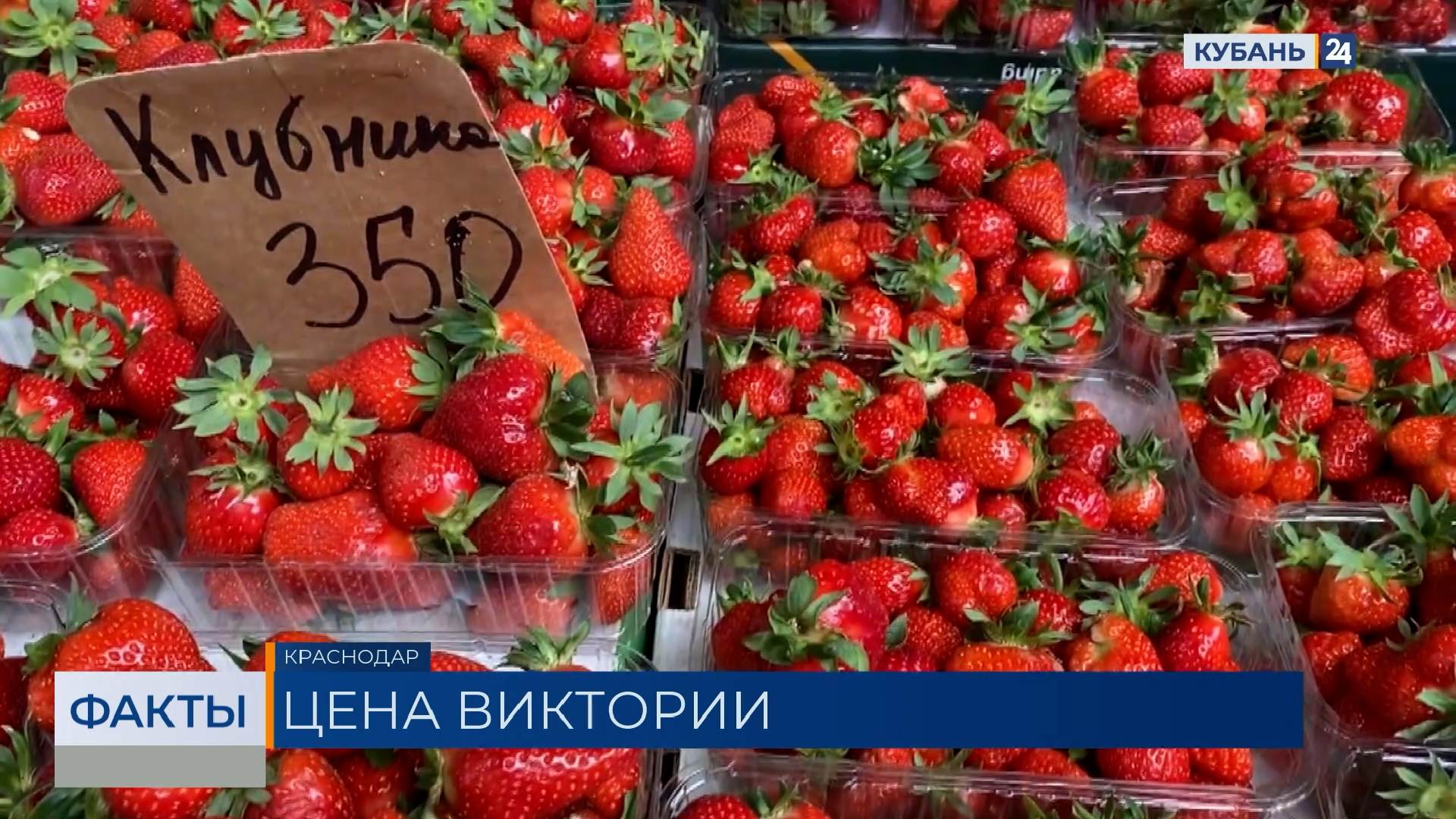 Стартовал сезон клубники: в Краснодарском крае за месяц ягода подешевела на 30%