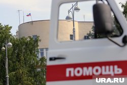 Дениса Аллаярова поместили в СИЗО №1 на два месяца