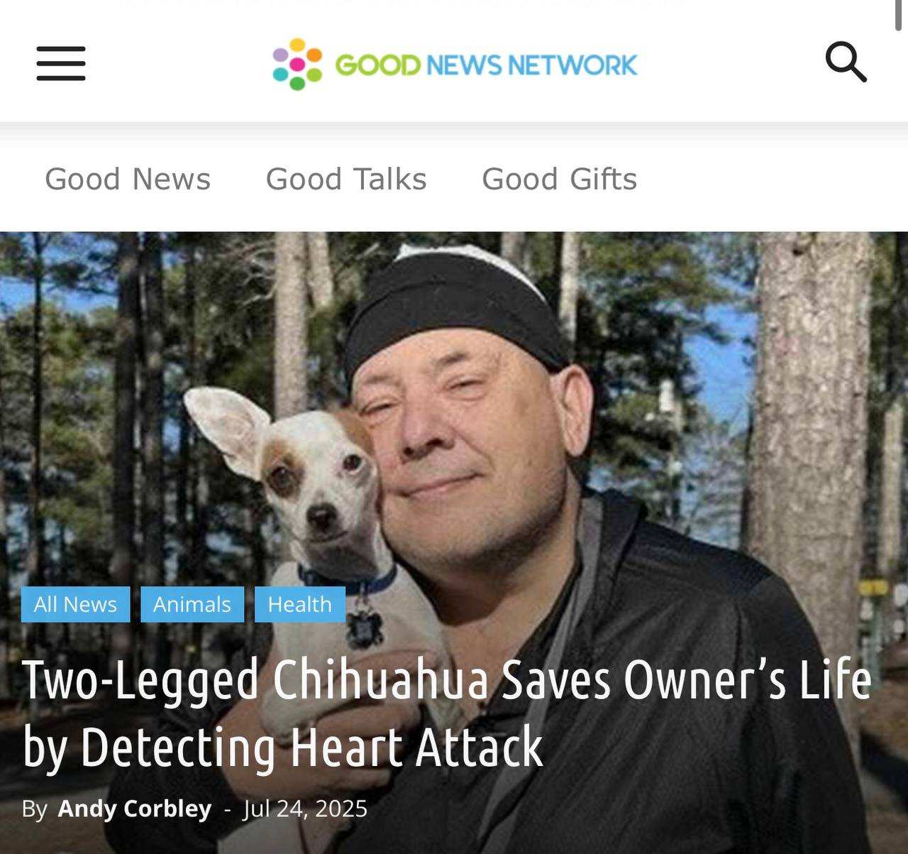 Чихуахуа спас хозяина, почувствовав у него сердечный приступ | Русская весна