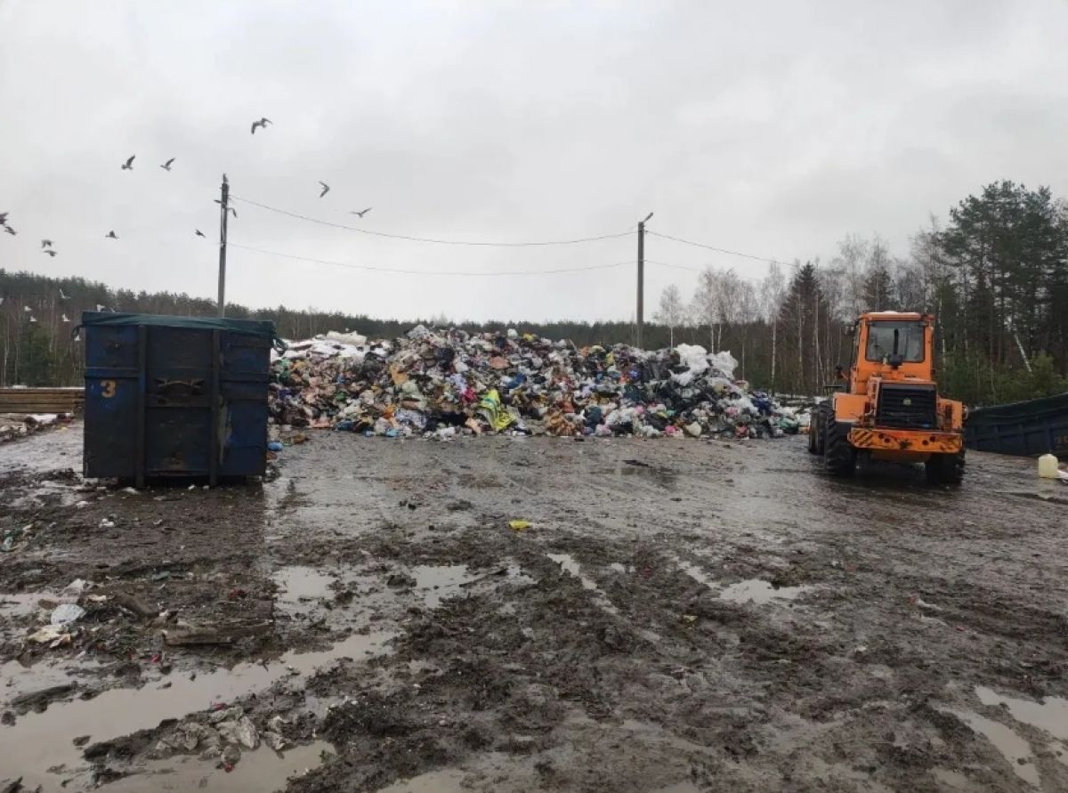 Прокуратура Киржачского района проверила соблюдение эконорм на мусорной станции в Храпках