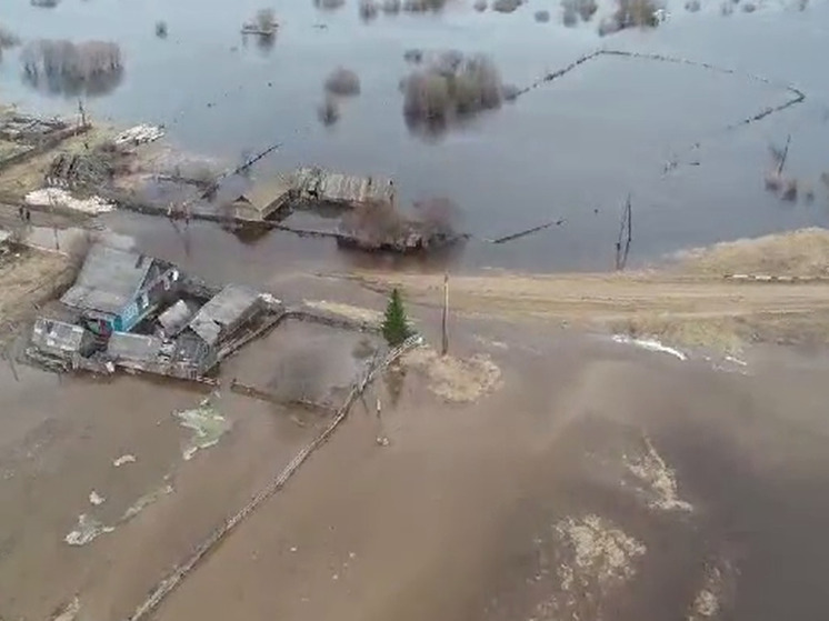 Река Шиш затопила жилые дома в селе на севере Омской области