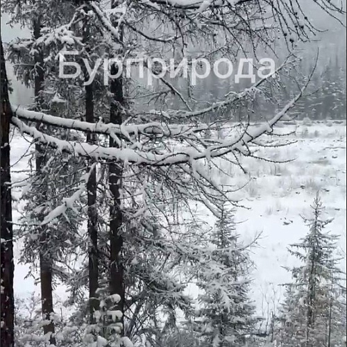 Снежная сказка: Из природного парка в Бурятии не хочет уходить зима