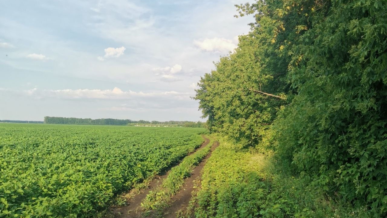 Кассационный суд удовлетворил жалобу прокуратур...