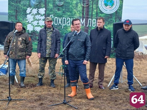 Осенью в Саратовской области высадят 3 миллиона сеянцев 