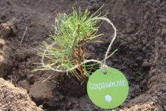 АкцияВ Чувашии завершилась акция 