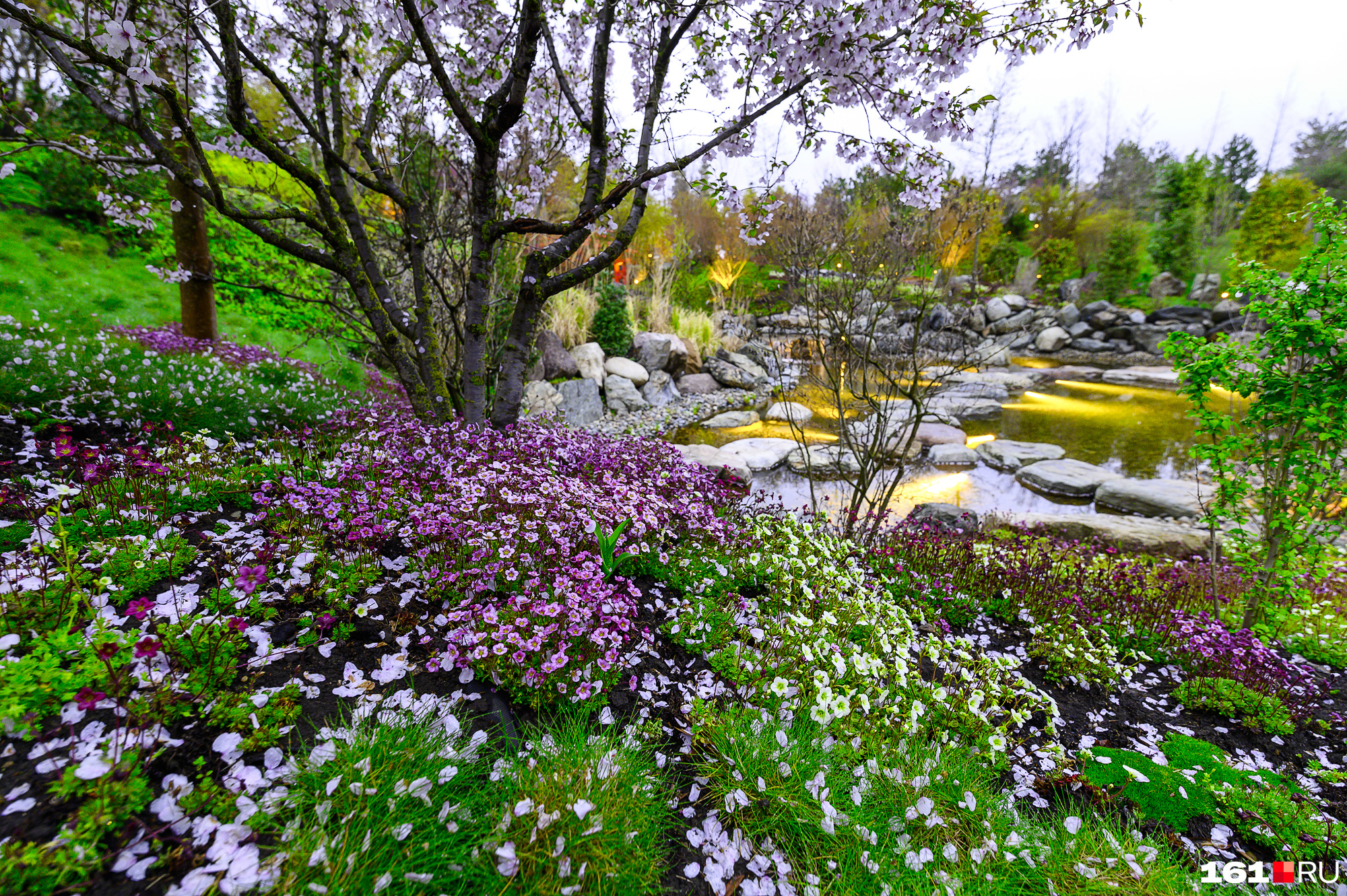 Сада глазки. Петрония в летнем саду. Глазки мультяшные. Сада глазки. Глаза ребенка.