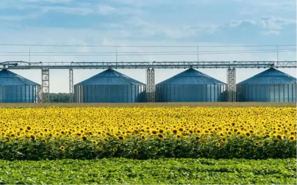 Воронежская компания «Благо-Верхняя Хава» хочет обжаловать взыскание почти 100 млн рублей 