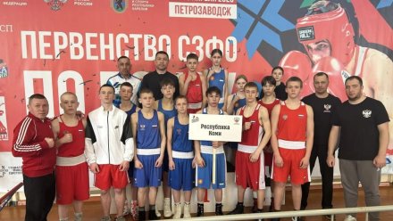 Боксеры Коми выиграли одиннадцать медалей на первенстве СЗФО