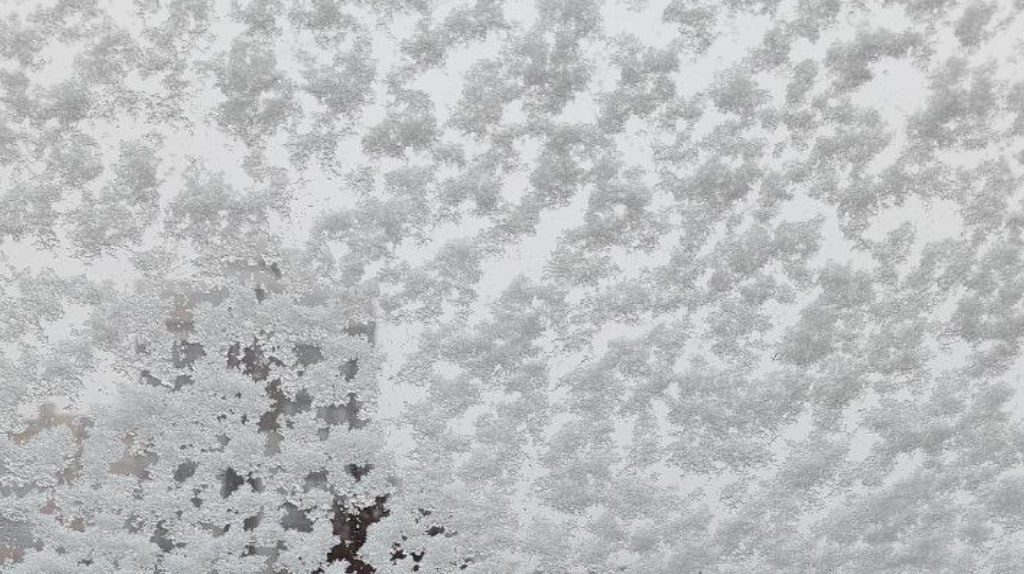 Тишковец рассказал читателям «Брянской губернии», когда выпадет снег