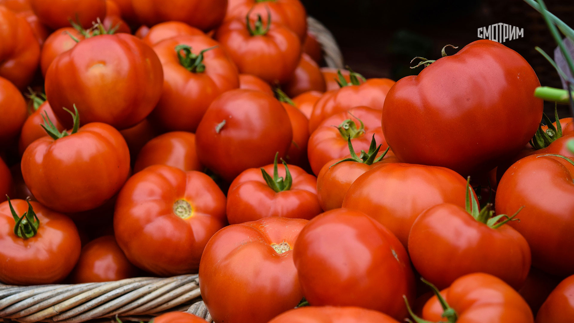 Диетолог Гинзбург: помидоры улучшают мужское здоровье